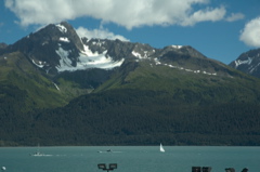 DSC_1505
